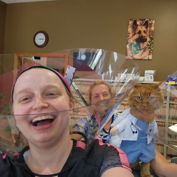 two vet staff and cats wearing e-collars