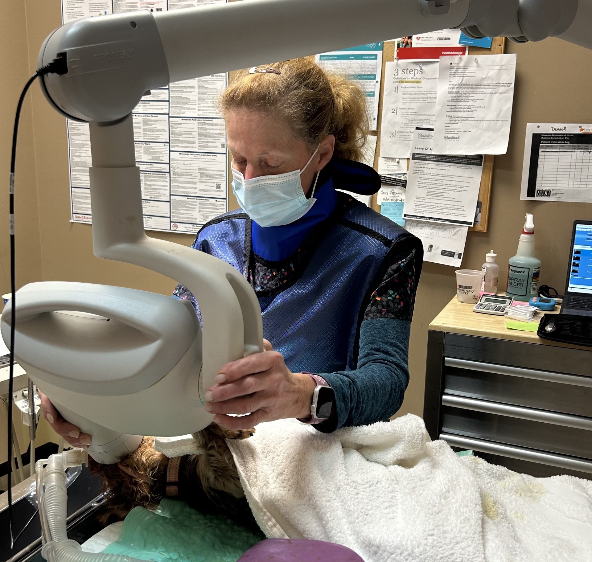 vet staff doing dental procedure for a dog